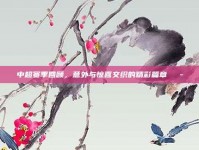 中超赛季回顾，意外与惊喜交织的精彩篇章🎭