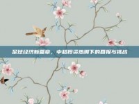 足球经济新篇章，中超投资热潮下的回报与挑战