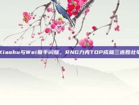 Xiaohu与Wei联手闪耀，RNG力克TOP成就三连胜壮举