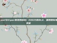 Scout与Viper的绝妙搭档！EDG力克BLG，展现团队电竞风采