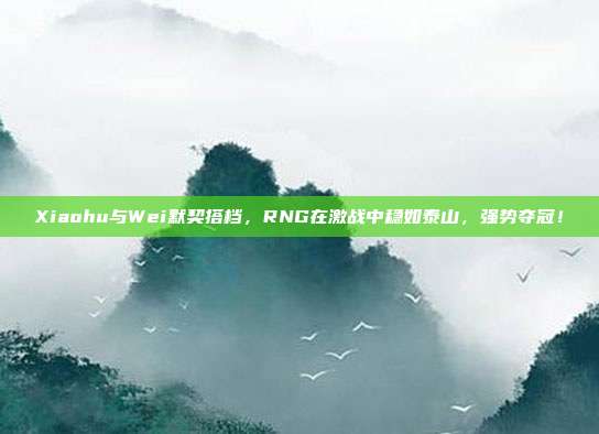 Xiaohu与Wei默契搭档，RNG在激战中稳如泰山，强势夺冠！