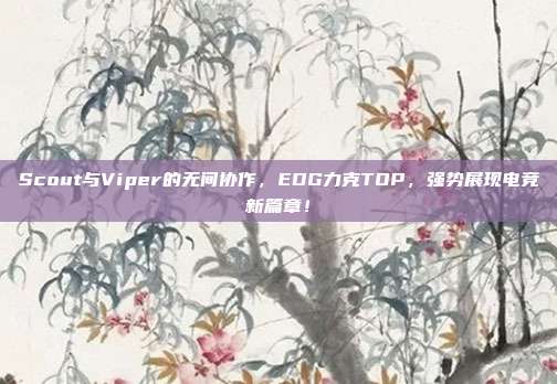 Scout与Viper的无间协作，EDG力克TOP，强势展现电竞新篇章！