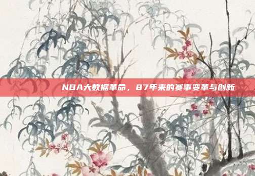 📊🔍 NBA大数据革命，87年来的赛事变革与创新