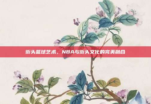 街头篮球艺术，NBA与街头文化的完美融合