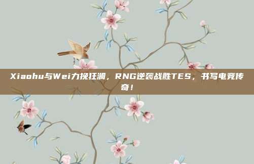 Xiaohu与Wei力挽狂澜，RNG逆袭战胜TES，书写电竞传奇！