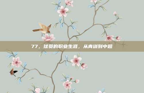 77，球员的职业生涯，从青训到中超