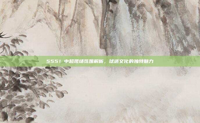 555！中超现场氛围解析，球迷文化的独特魅力