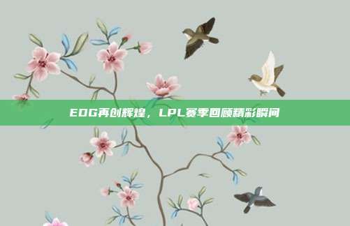 EDG再创辉煌，LPL赛季回顾精彩瞬间