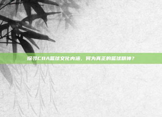 探寻CBA篮球文化内涵，何为真正的篮球精神？