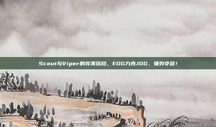 Scout与Viper的完美搭档，EDG力克JDG，强势夺冠！