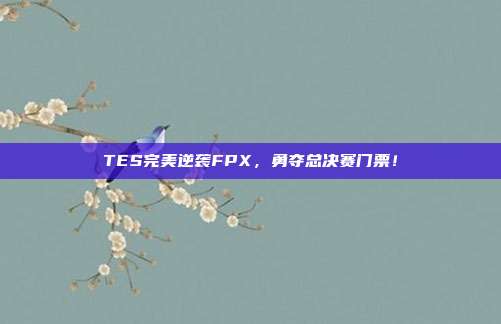 TES完美逆袭FPX，勇夺总决赛门票！