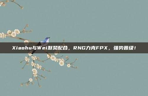 Xiaohu与Wei默契配合，RNG力克FPX，强势晋级！