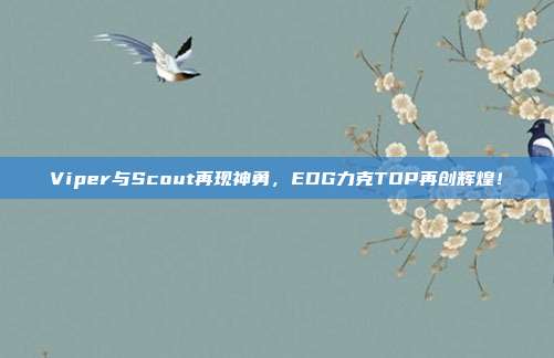 Viper与Scout再现神勇，EDG力克TOP再创辉煌！