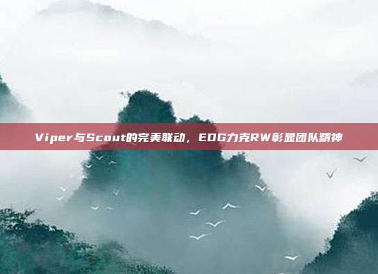 Viper与Scout的完美联动，EDG力克RW彰显团队精神