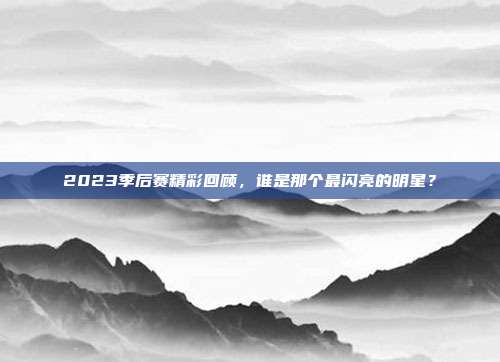 2023季后赛精彩回顾，谁是那个最闪亮的明星？