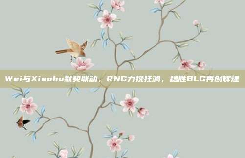 Wei与Xiaohu默契联动，RNG力挽狂澜，稳胜BLG再创辉煌